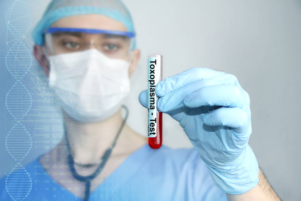 médecin masculin en uniforme bleu avec un stéthoscope dans un masque de protection et des lunettes regarde une éprouvette de laboratoire avec du sang, le concept de l'étude et le traitement de toxoplasmos
 - Photo, image