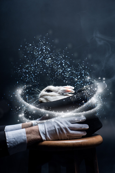 częściowy widok magika w białych rękawiczkach trzymających kapelusz z królikiem, w ciemnym pomieszczeniu z dymem i świecącą ilustracją - Zdjęcie, obraz