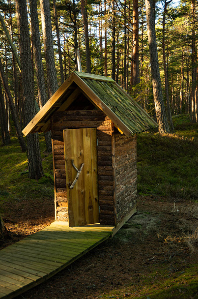 schöne Außentoilette im Wald an einem sonnigen Tag - Foto, Bild