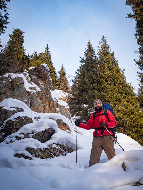 Mężczyzna w czerwonej kurtce spaceruje zimą po górach. - Zdjęcie, obraz