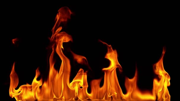 黒い背景に分離された火災ラインのスーパー スロー モーション。高速度カメラ、1000 fps で撮影 - 映像、動画
