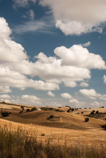 The landscape of Andalusia - Zdjęcie, obraz