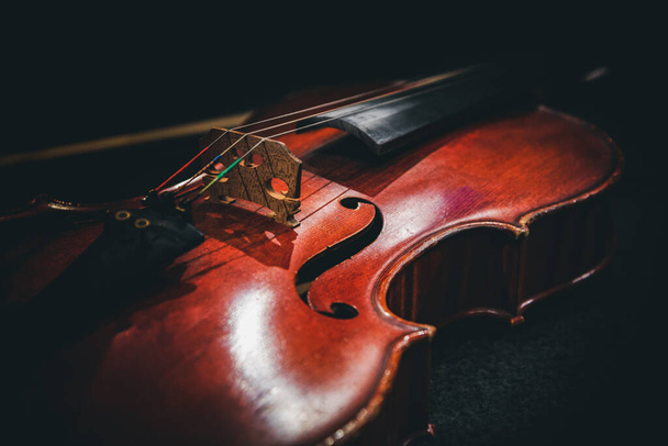 Violin on a dark background. - Foto, Bild