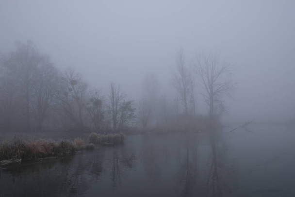 Туманное утро. Серый мистический пейзаж
 - Фото, изображение