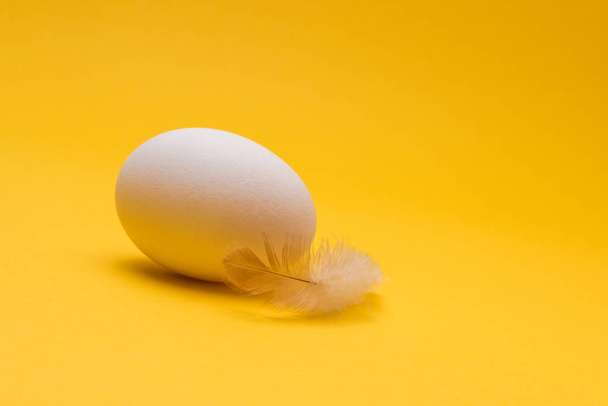 one egg and one gentle feather on yellow background. minimalist design - Photo, Image