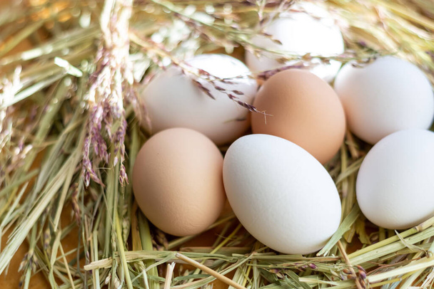 White and brown raw chicken eggs lie in a straw nest - 写真・画像