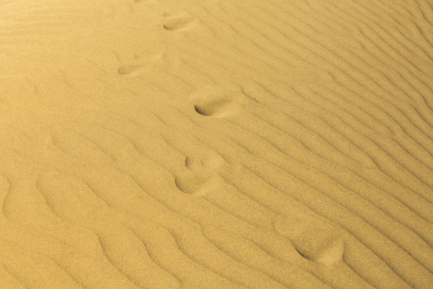 Dünen in einer Wüstenlandschaft Sommer Natur Reisetourismus - Foto, Bild