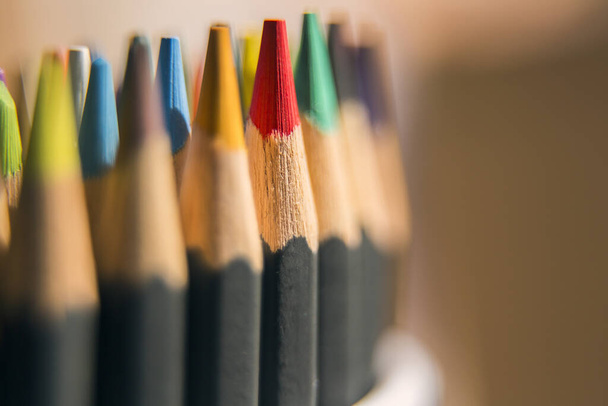 matite di colore su sfondo naturale luce
 - Foto, immagini
