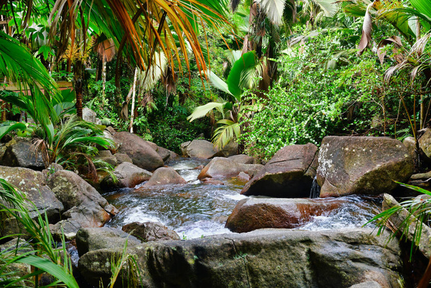 Разбрызгивание горного потока на гранитных скалах возле водопада Созье, остров Маэ, Сейшельские острова
. - Фото, изображение