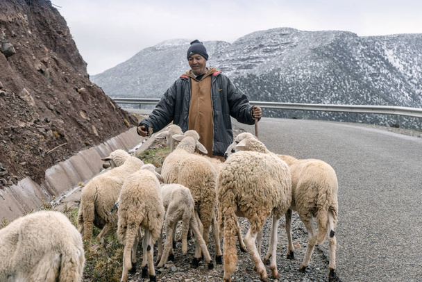 Berber shepherd with his flock in remote High Atlas mountain - Fotoğraf, Görsel