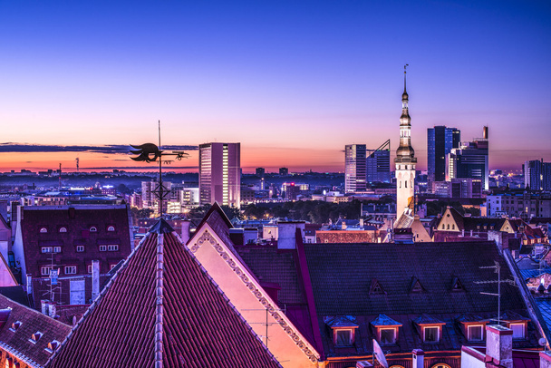 Panorama Estonsko Tallinn - Fotografie, Obrázek