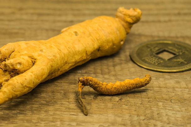caterpillar fungus, and ginseng root, medicine of the traditiona - Photo, Image