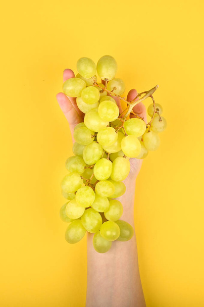 grapes are laid out on the hand. on a yellow background. Volumetric grapes. A bunch of green grape bush. Flat lay - Fotó, kép