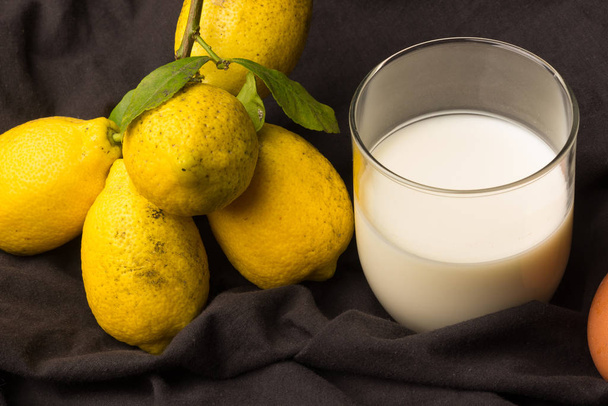 Νωπό γάλα και ωμά και νωπά λεμόνια - Φωτογραφία, εικόνα