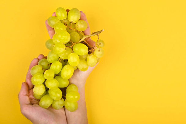 Photo of green grape on a yellow background. Volumetric grapes. A bunch of green grape bush. - Фото, изображение