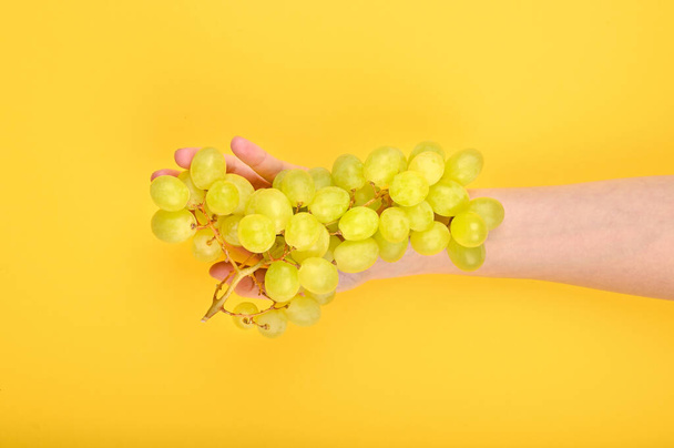 grapes are laid out on the hand. on a yellow background. Volumetric grapes. A bunch of green grape bush. Flat lay - Photo, image