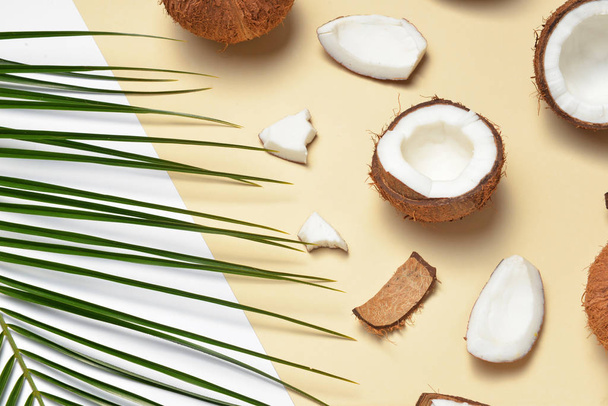 Зрізати кокоси і пальмовий лист на кольоровому фоні
 - Фото, зображення