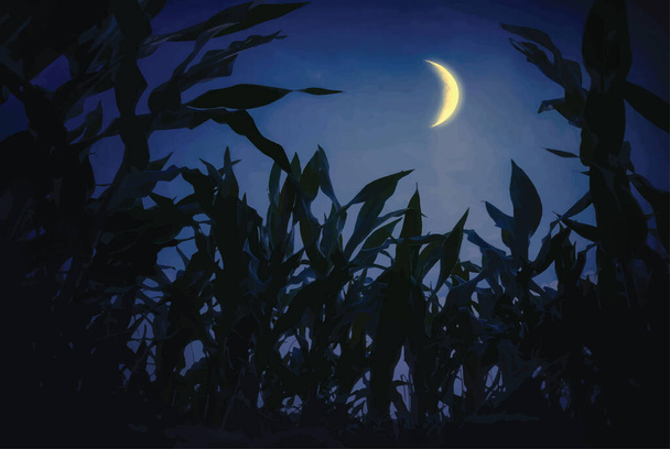 Kukuřičné pole v noci. Perspektiva ze země. Vektor. - Vektor, obrázek