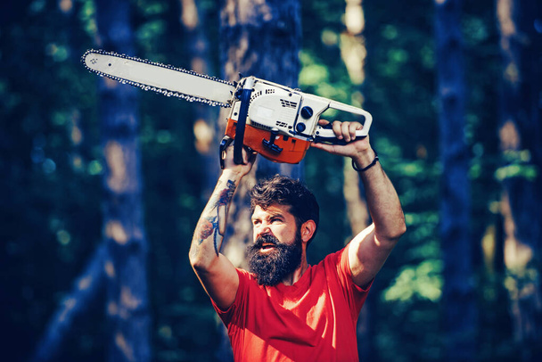 Agriculture and forestry theme. Professional lumberjack holding chainsaw in the forest. Lumberjack holding the chainsaw. Woodcutter with chainsaw on sawmill. - Foto, afbeelding