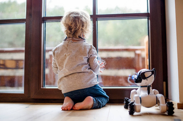 ロボット犬と遊んで家の中に座っているかわいい幼児. - 写真・画像