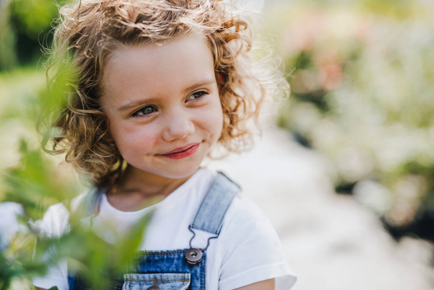 Portrait of small girl standing in the backyard garden. - Zdjęcie, obraz