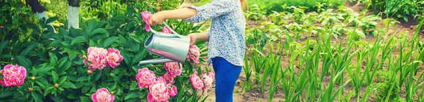 ребенок поливает цветы в саду. Селективный фокус
. - Фото, изображение