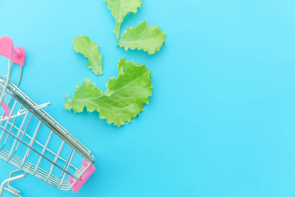 エコロジーエコ製品健康食品ビーガンベジタリアンコンセプト.緑のレタスの葉で買い物のための小さなスーパーマーケットの食料品プッシュカートは、青いパステルカラフルな背景に隔離されています。スペースのコピー. - 写真・画像
