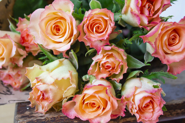 Hermosa flor de rosa en el jardín. Fondo de flor rosa. Rosas f
 - Foto, Imagen