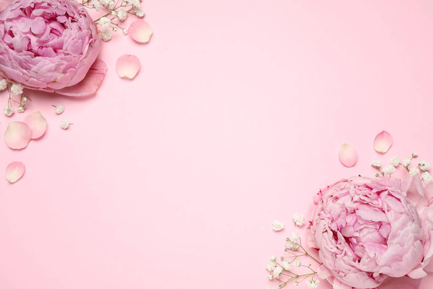 Beautiful floral composition with peonies on pink background, flat lay. Space for text - Fotografie, Obrázek