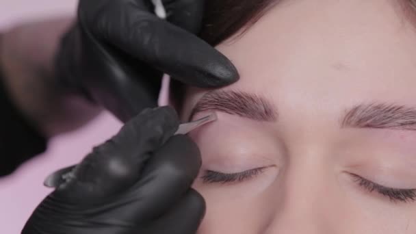 Artista de maquillaje profesional arrancando cejas al cliente en el salón de belleza
. - Metraje, vídeo