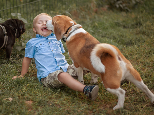 Η καθημερινή ζωή ενός παιδιού με αναπηρίες. Ένα αγόρι με σύνδρομο Ντάουν παίζει με το σκύλο. Χρωμοσωμική και γενετική διαταραχή στο μωρό.  - Φωτογραφία, εικόνα