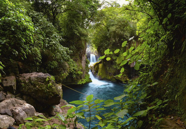 Lesní říční kameny krajina, krásný panoramatický výhled na řeku v mostě Boží a vodopády Tamasopo san luis potosi mexico - Fotografie, Obrázek