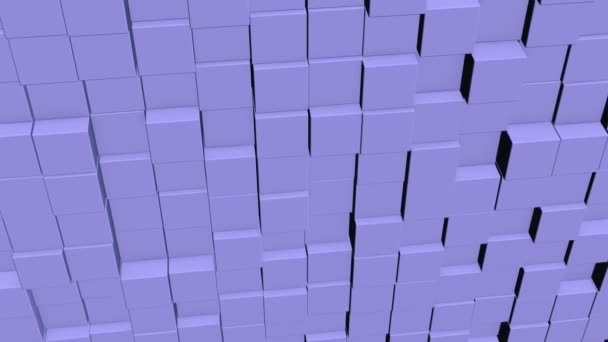 Concept of matrix. Binary code environment in form of cubes wall with information inside, moving up and down. - 映像、動画