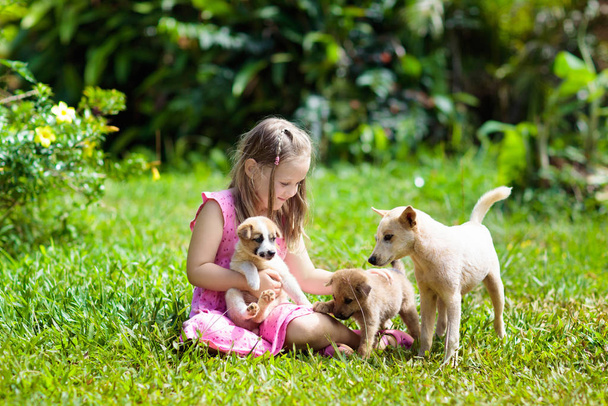 Los niños juegan con el cachorro. Niños y perros en el jardín
. - Foto, Imagen