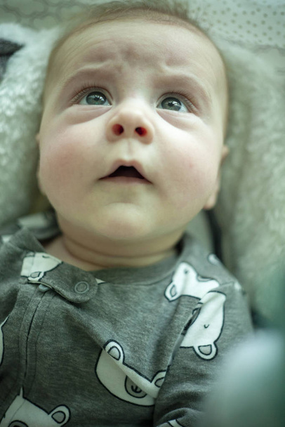 close up portrait of 4 month old boy - Photo, image