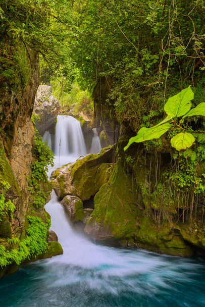 Bosque río piedras paisaje, hermosa vista panorámica del río en Puente de Dios y cascadas de Tamasopo san luis potosi mexico
 - Foto, Imagen