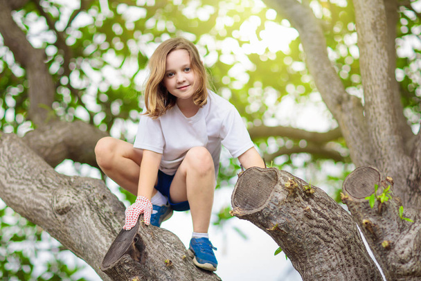 Kids climb tree in summer park. Child climbing. - Fotoğraf, Görsel