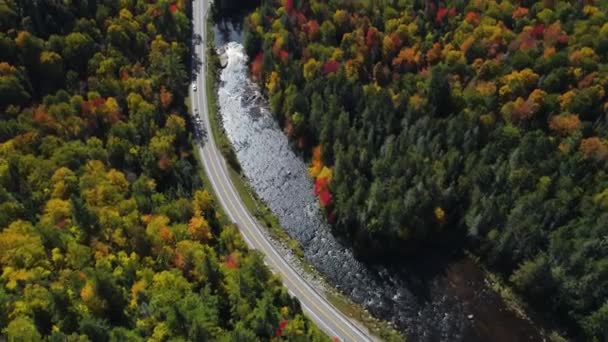 antenne drone weg door kleurrijke bos wildernis bergen rivier  - Video