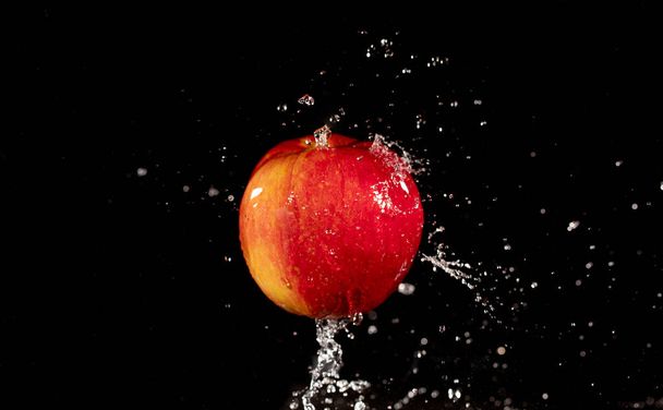 czerwone jabłko z kroplami wody - Zdjęcie, obraz