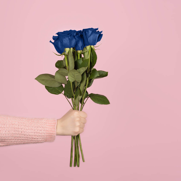 Beautiful bouquet of vivid blue roses in a female hand on light pink background. - Foto, imagen