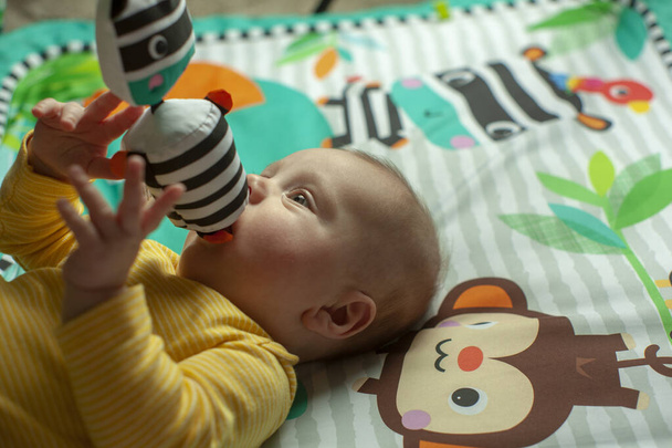 Close up portrait, newborn baby boy playing toy - Photo, image