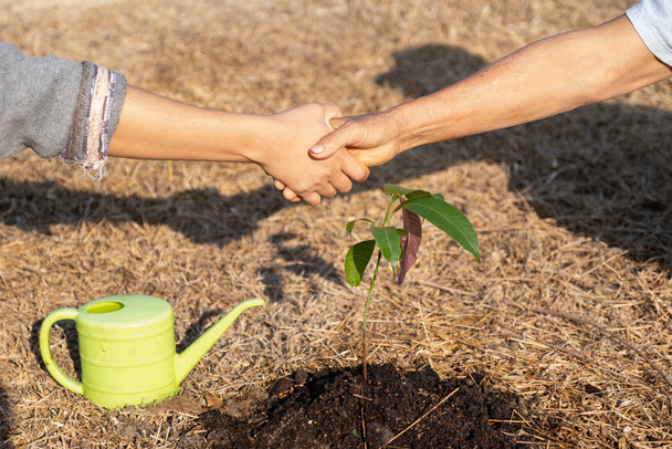 La mano de la mujer mayor y la mano de las mujeres jóvenes se estrechan la mano después de ayudarse mutuamente a plantar árboles, Día Mundial del Medio Ambiente, concepto de transferencia de la conservación del medio ambiente a la próxima generación
 - Foto, Imagen
