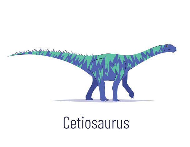 Cetiosaurus. Sauropodomorpha dinosaur. Colorful vector illustration of prehistoric creature cetiosaurus in hand drawn flat style isolated on white background. Huge fossil dinosaur. - Vector, Image