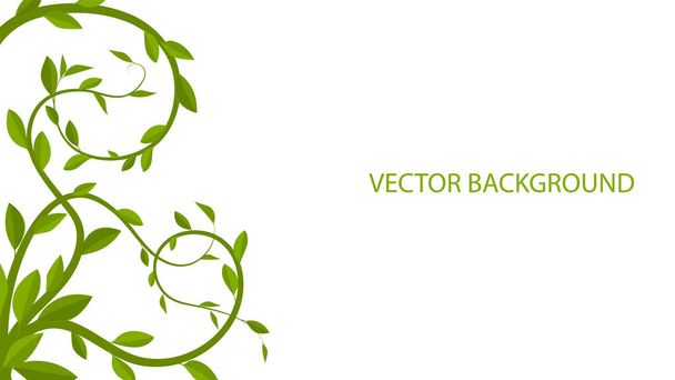Green leaves on white background, vector leaves. - Vektor, Bild