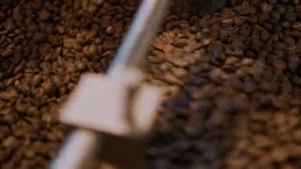 Coffee roasting process in small roaster factory - Footage, Video