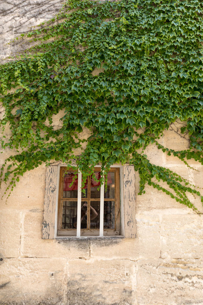 Les Baux de Provence Ivy ile büyümüş bir evin duvar. Bouches du Rhone, Provence, Fransa - Fotoğraf, Görsel