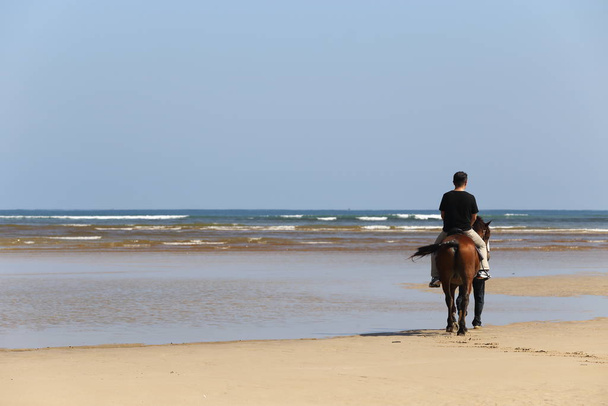 Hombre a caballo Caballo en la playa océano ola y alimentador de caballos
 - Foto, Imagen