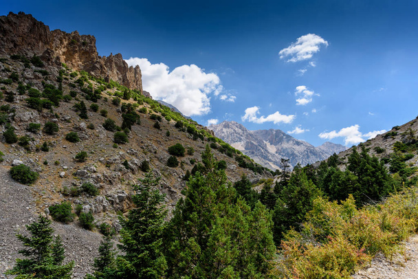 Mountain landscape with trees in the Turkish national Park aladag in summer day - Photo, image