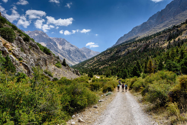 Turquie, Chamard - 3 août 2019 : Les touristes marchent le long de la route à travers le paysage montagneux dans le parc national turc aladag dans la journée d'été, vue de dos
 - Photo, image