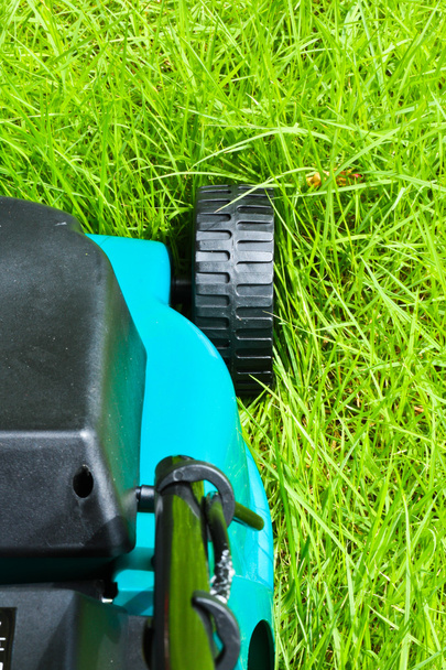 Lawn mover (backside, uncut) - Photo, Image